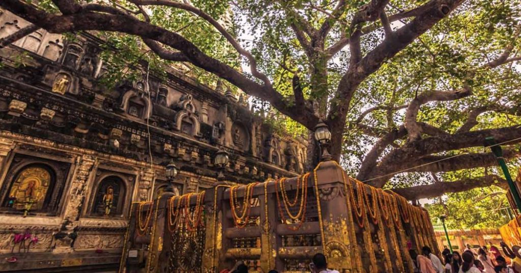 5 Exploring Bodhgaya on a Budget: Affordable Travel Tips 2 Exploring Bodhgaya on a Budget