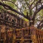 Exploring Bodhgaya on a Budget