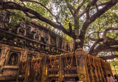Best Bodhgaya + Varanasi 2-Day Private Package