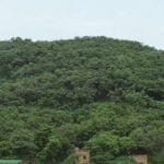 Varanasi Chitrakoot Group Tour Package