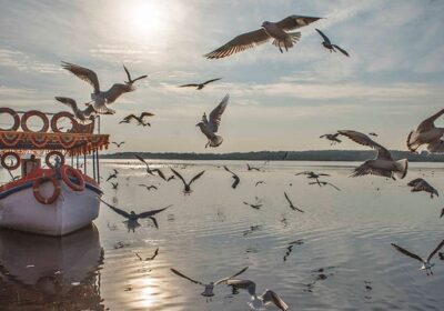 Best 2026 Varanasi Sightseeing + Local Food Tour Package