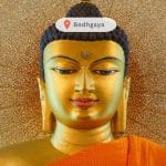 The Bodhi Tree