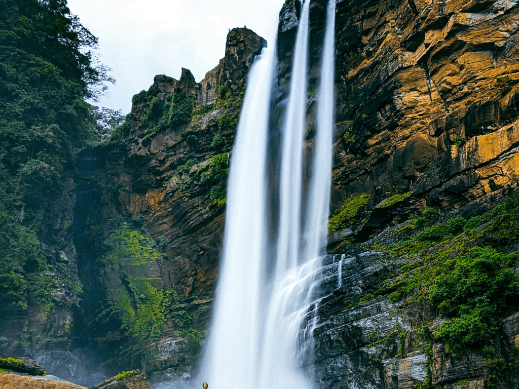 4Nights 5Days Sri Lanka Tour Package – Cultural Beauty & Tropical Bliss — high-quality image.