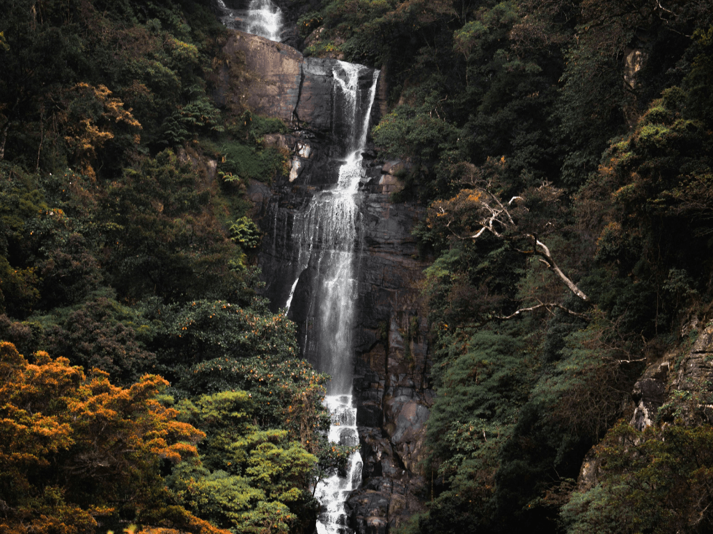 4Nights 5Days Sri Lanka Tour Package – Cultural Beauty & Tropical Bliss — high-quality image.