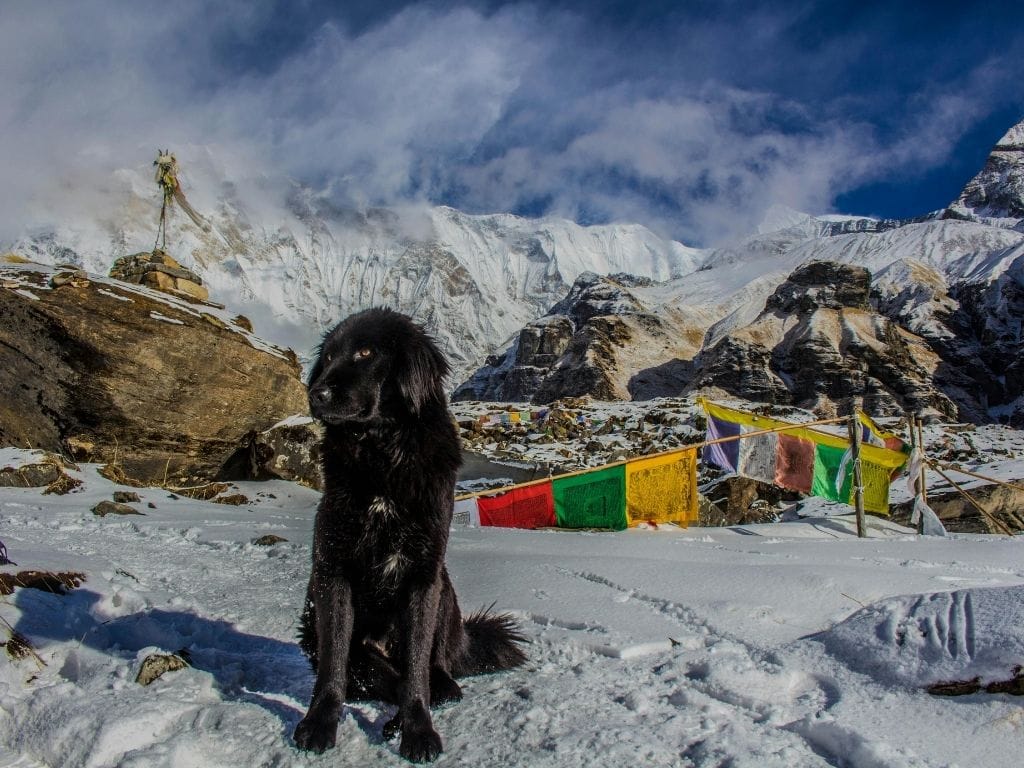 4N5D Kathmandu Pokhara Tour Package — high-quality image.