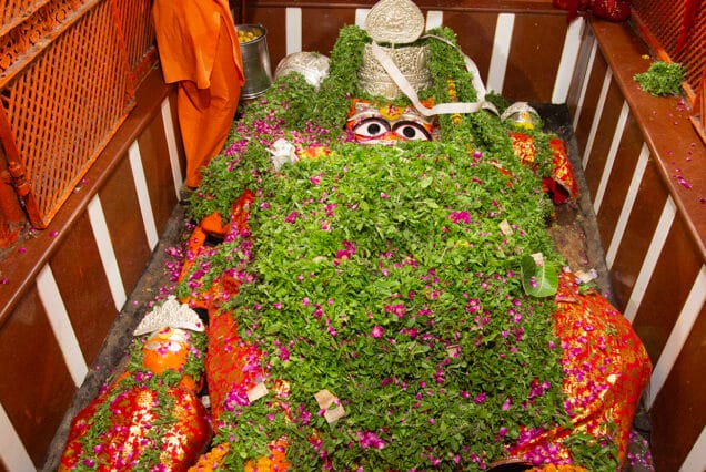 Ultimate Shravan Yatra Package