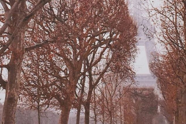 11 Days Europe Tour Package France, Switzerland, Austria, Italy & Vatican City | TripCosmos.co