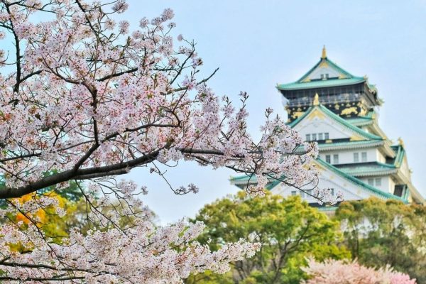 5 Nights 6 Days Japan Tour Package – Cities, Culture & Cuisine