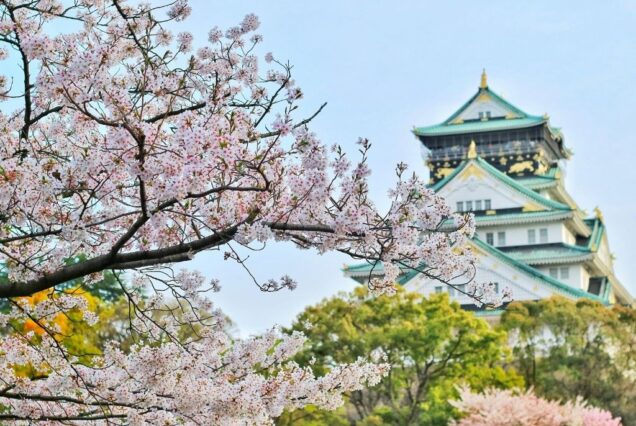 Japan Tour Package
