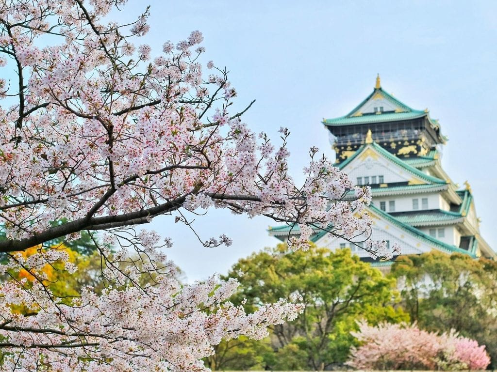 Japan Tour Package