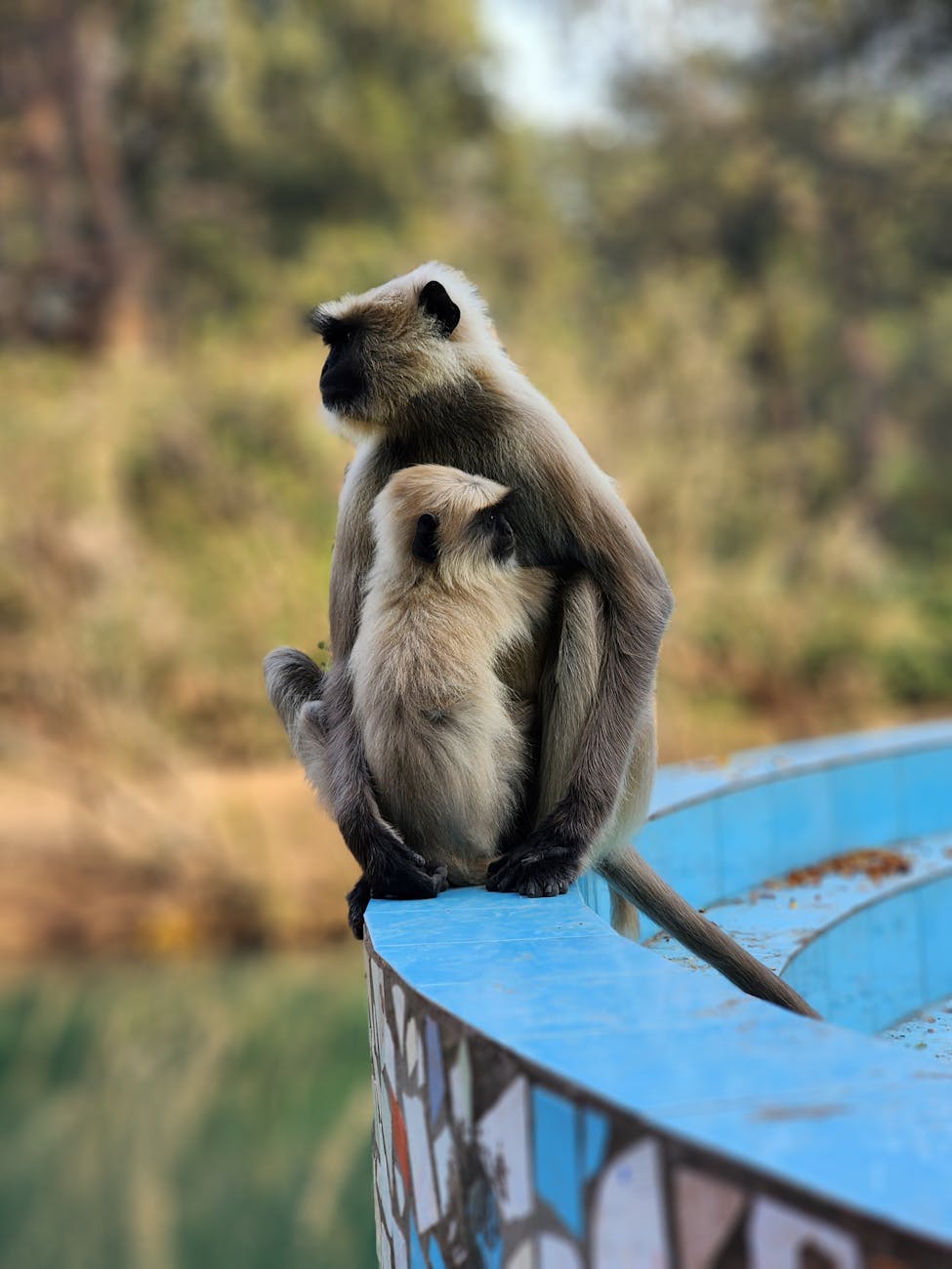 Banaras Wildlife Tour Explore the National Parks