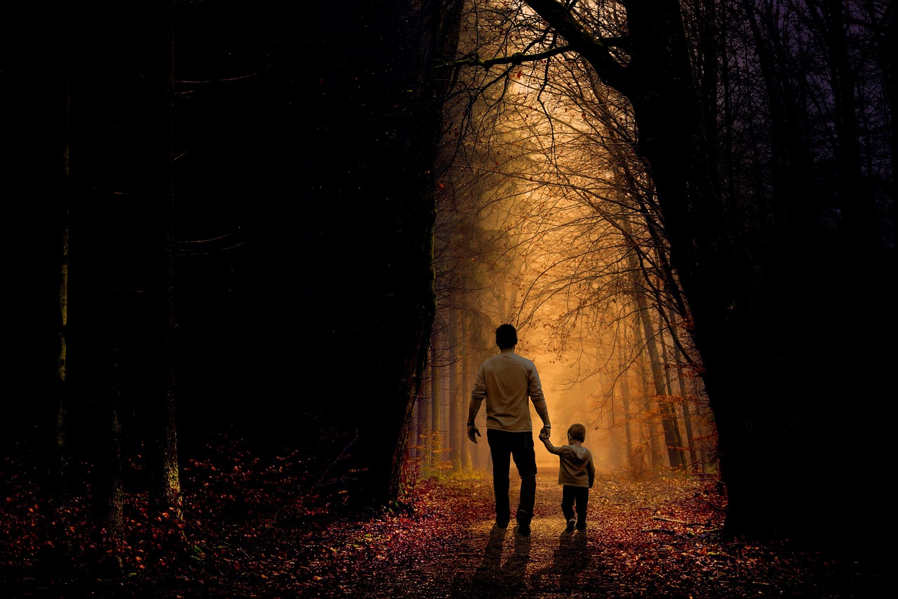 father, son, walking, child, boy, family, parent, kid, dad, childhood, holding hands, dusk, twilight, forest, nature, trees, father, father, father, father, walking, child, boy, family, family, family, family, family, dad