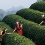 ₹500 tour Varanasi | TripCosmos.co