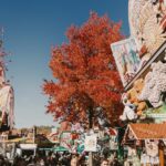 Free stock photo of amusement park, amusement park rides, amusement ride