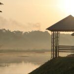 bodhgaya sunrise | TripCosmos.co