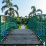 A picturesque footbridge spans lush gardens, framed by palm trees in a serene park.