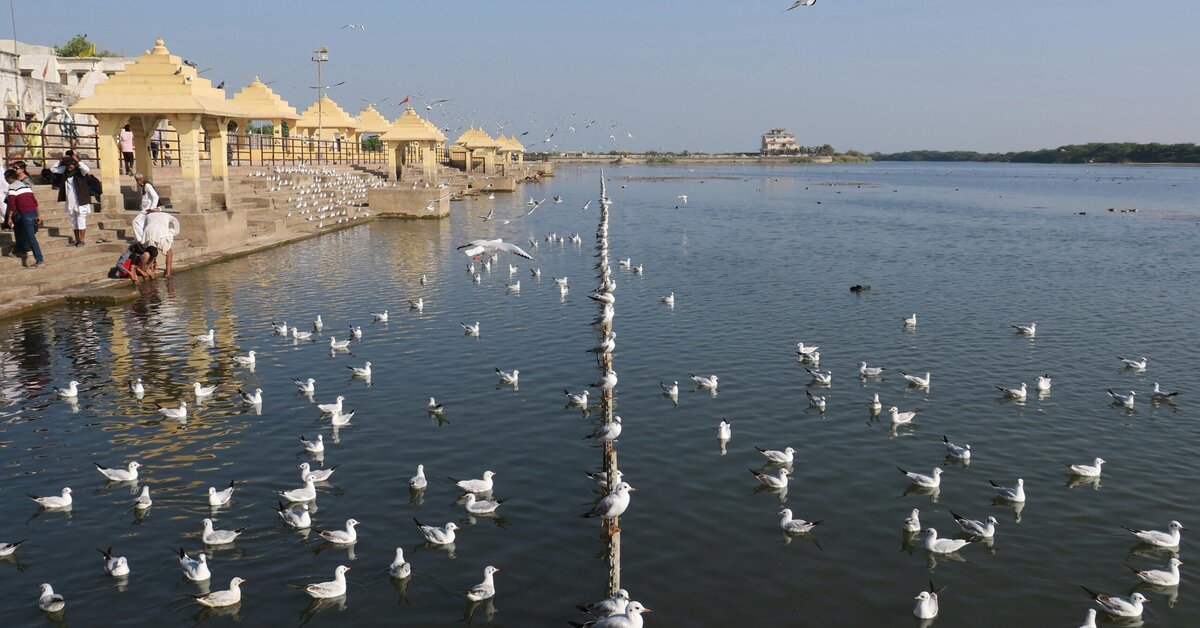 Varanasi Ayodhya Prayagraj Tour Package by Cab