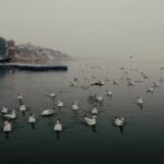 Prayagraj Visit During Peak Days