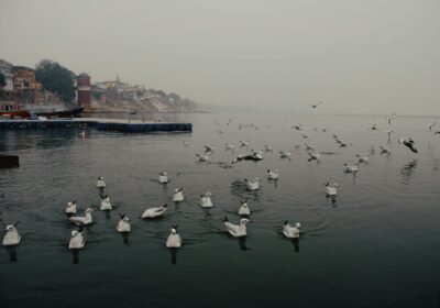 2026 Best Where to Park Vehicles During Magh Mela?