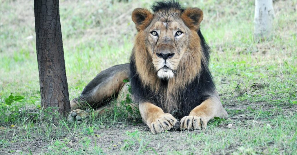 Banaras Adventure Activities