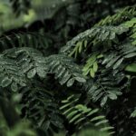 Why People Feel Mentally Calm After Spending a Day in Varanasi