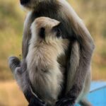 photography chitrakoot | TripCosmos.co