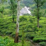 prayagraj monsoon | TripCosmos.co