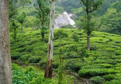 Prayagraj Monsoon: Must-Have Tips for Effortless Travel