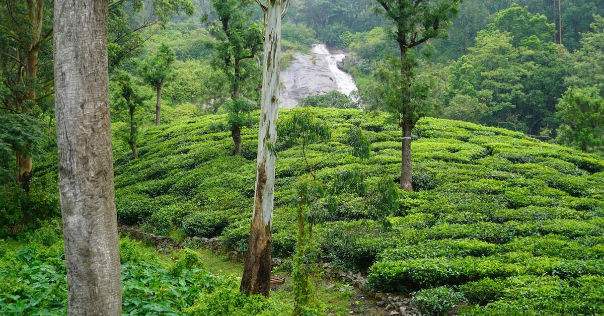 prayagraj monsoon | TripCosmos.co