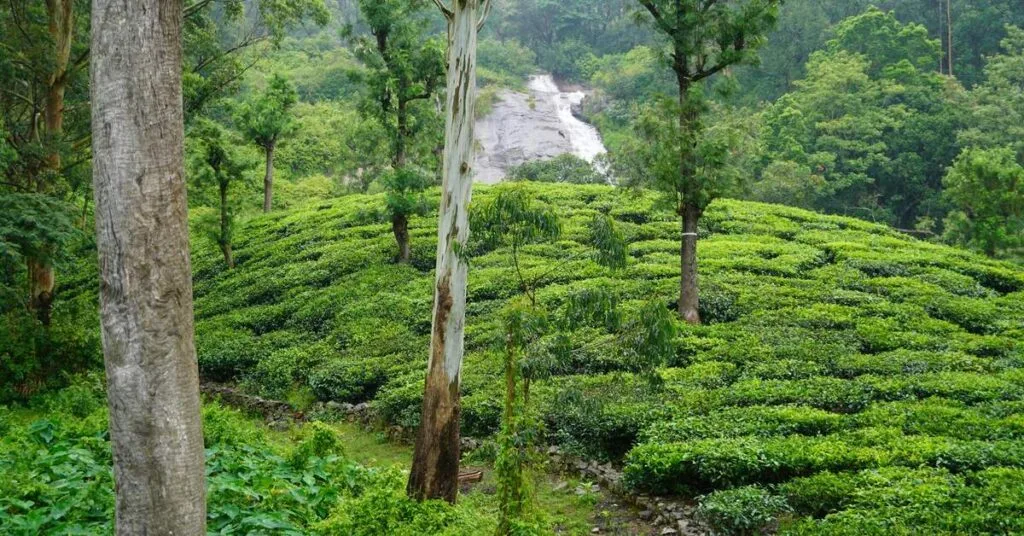 Religious Corporate Tour Packages in North India