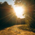 Ayodhya Sunrise + Local Sightseeing Package