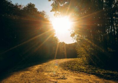 Best 20 Ayodhya Sunrise + Local Sightseeing Package: Start Your Day Divinely