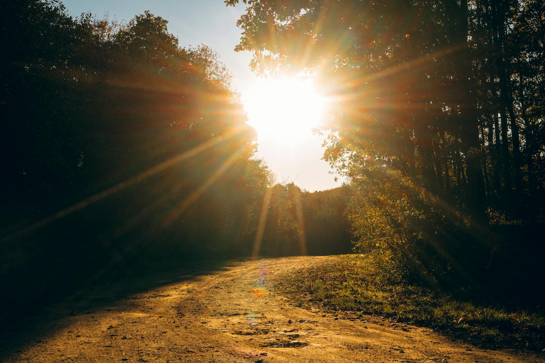 Ayodhya Sunrise + Local Sightseeing Package