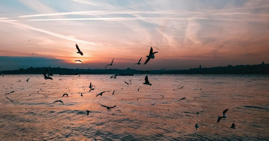 Q5: Is it better to start in Prayagraj or Varanasi for this family tour?