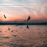 Varanasi Travel Planning for Families with Back or Knee Pain