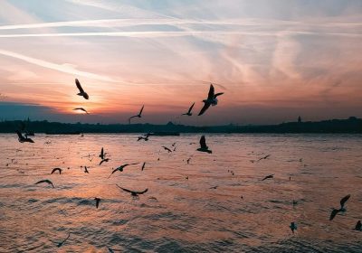Best Family-Friendly Places in Prayagraj: What to Visit With Kids, Parents and Grandparents