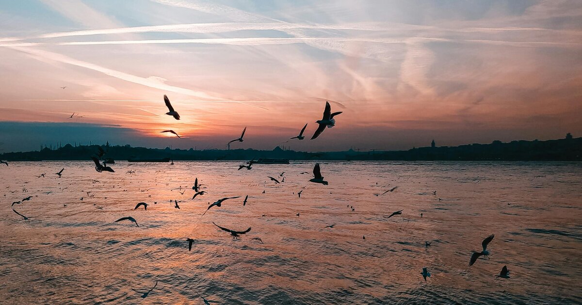 Varanasi Travel Planning for Families with Back or Knee Pain