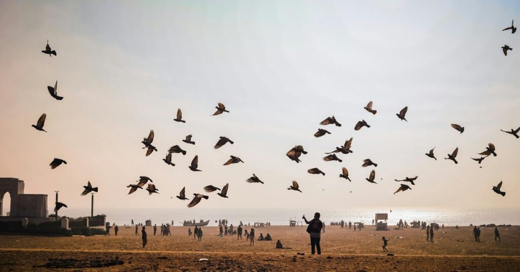 2026 Magh Mela Prayagraj