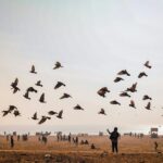 2026 Magh Mela Prayagraj