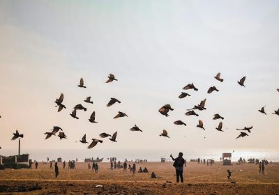 Best 2026 Magh Mela Premium Camp Booking Near Sangam
