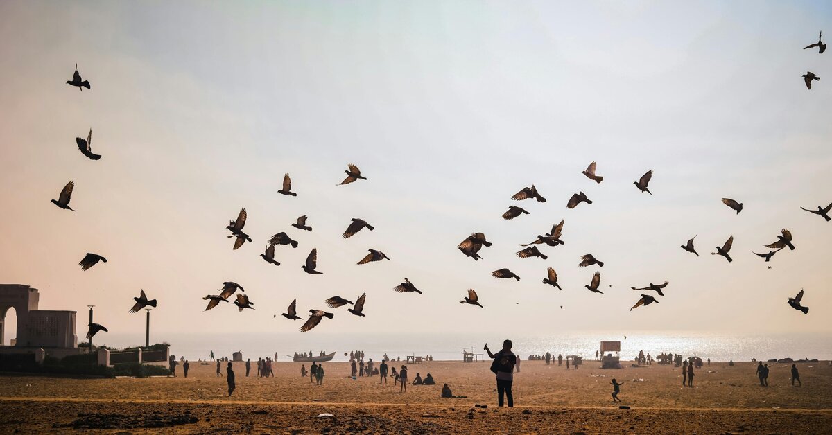 2026 Magh Mela Prayagraj