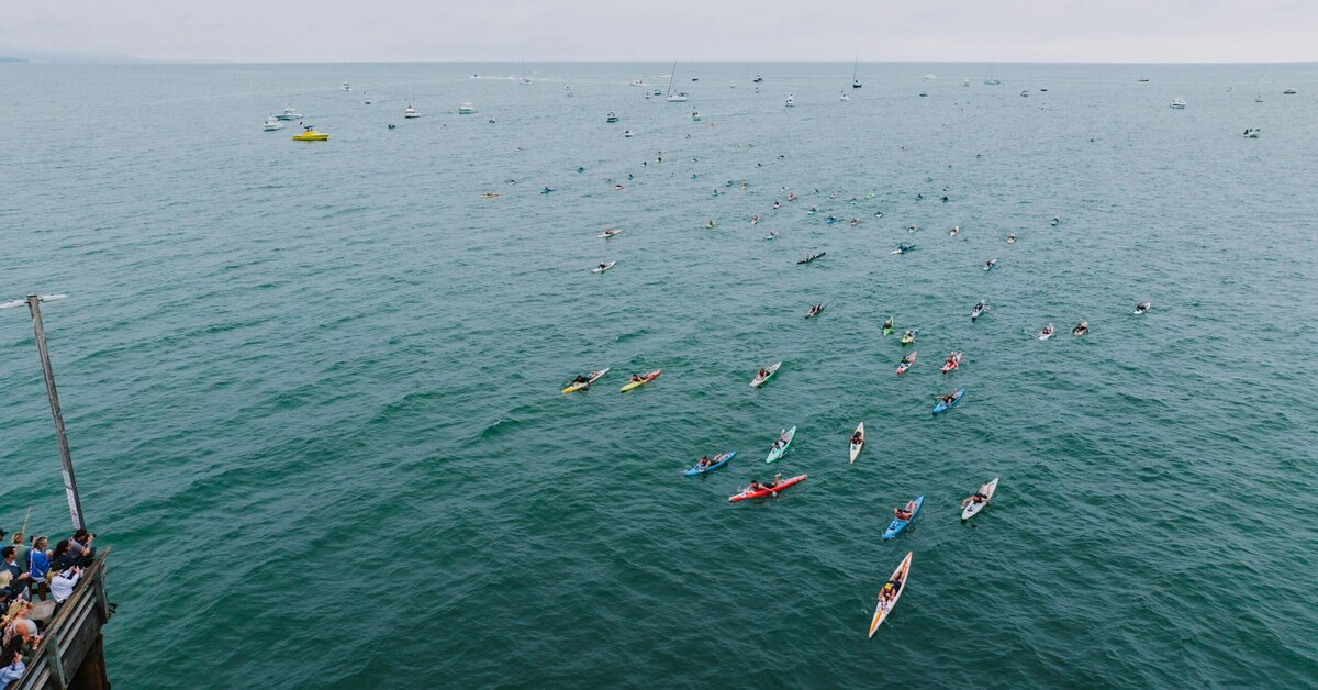 Are Online Magh Mela Camp Bookings Reliable? A Reality Check