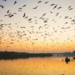 How to Identify a Genuine Magh Mela Tour Operator