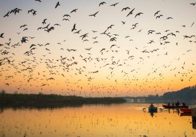 Prayagraj Budget Trip Guide — ₹4,499 Affordable Planning, Full Experience, No Shortcuts