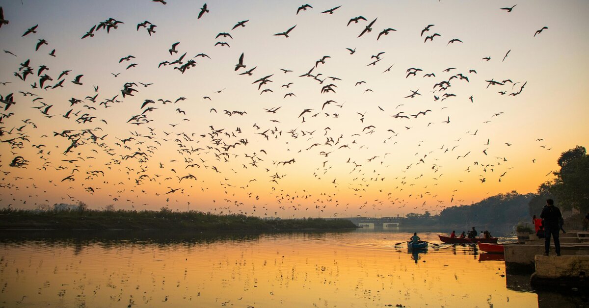 How to Identify a Genuine Magh Mela Tour Operator