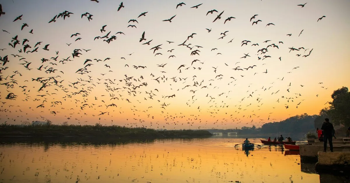How to Avoid Rush During Your Prayagraj Visit