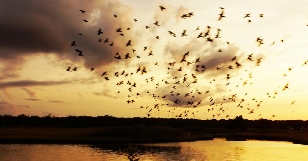 Prayagraj Tour Package Explore the Sacred City