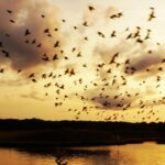 Family Friendly Prayagraj Pilgrimage Package