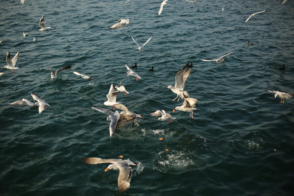 Prayagraj Tour Package