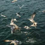 Why Many Families Cancel Magh Mela Plans at the Last Moment